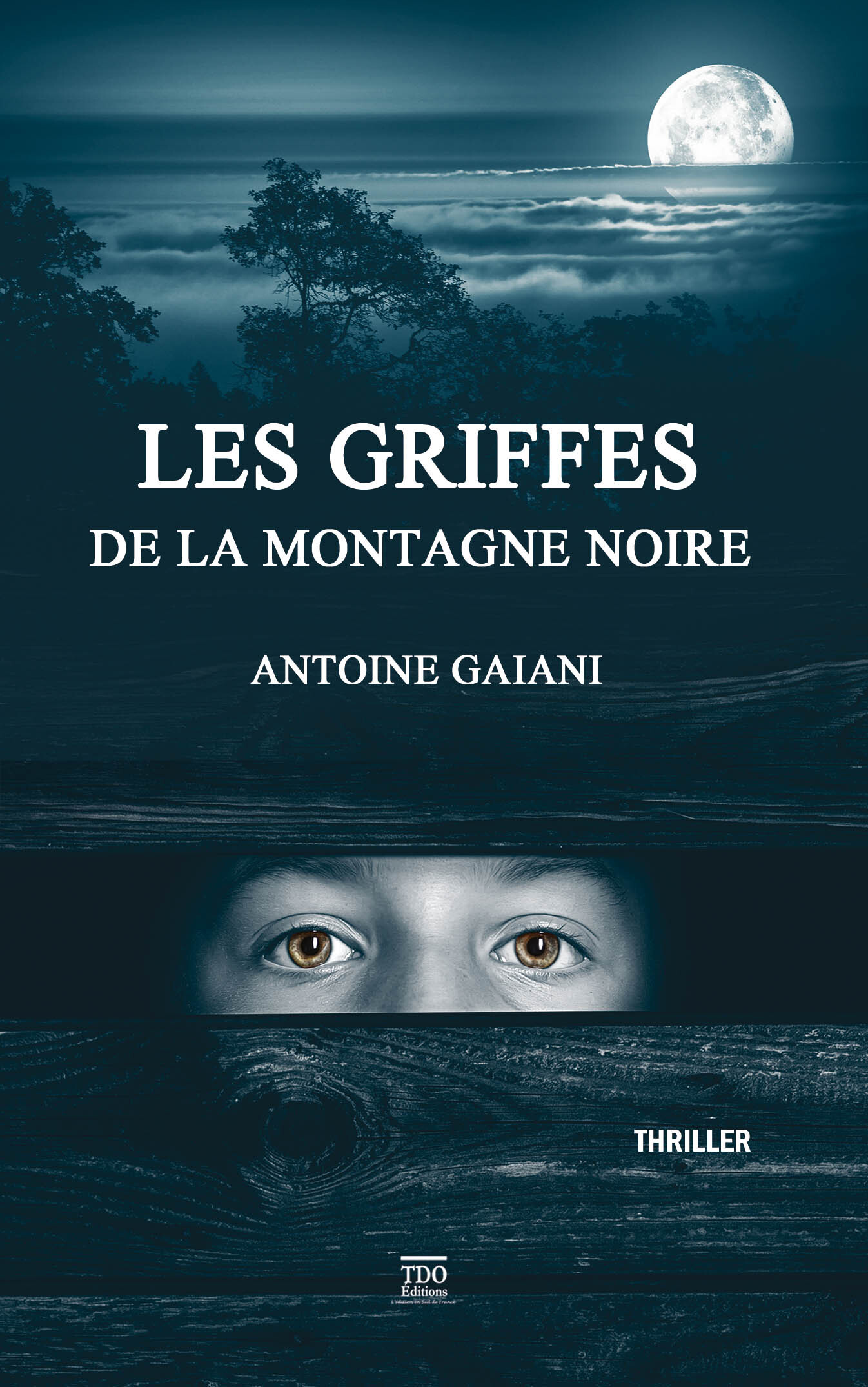 Les griffes de la montagne noire poche