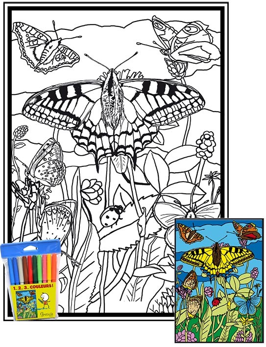 1-PAPILLONS - 1 2 3 COULEURS