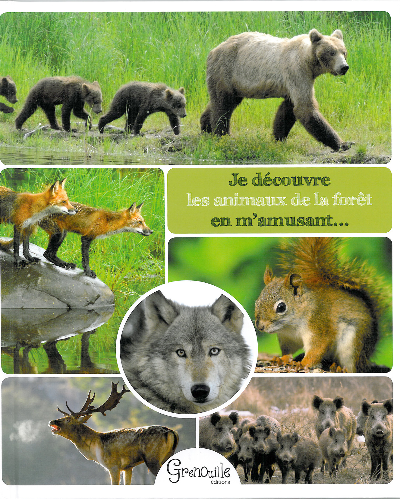 Je découvre les animaux de la forêt en m'amusant