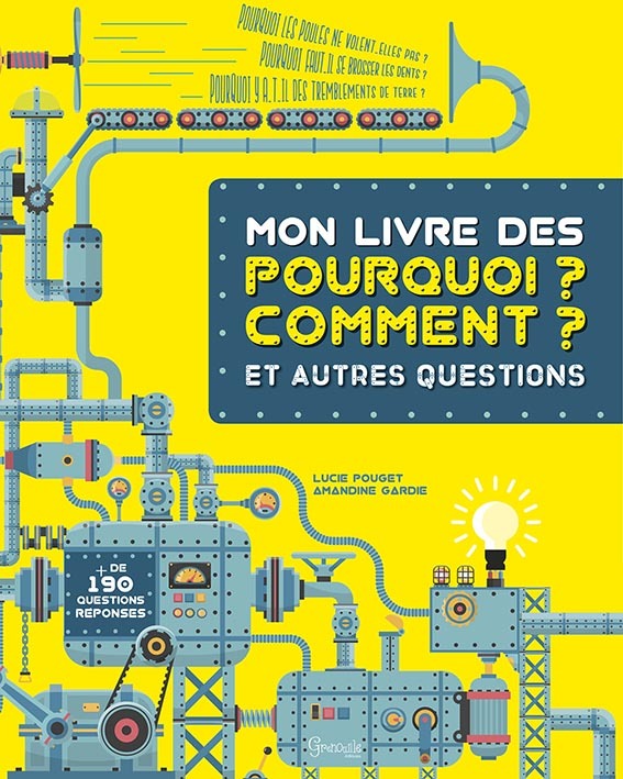 Mon livre des pourquoi ? Comment ? - et autres questions