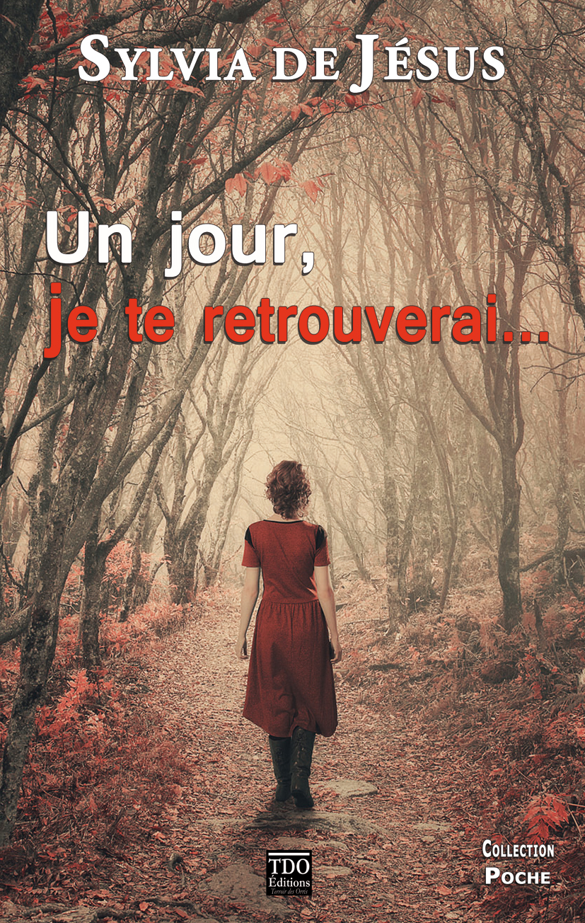 UN JOUR JE TE RETROUVERAI poche