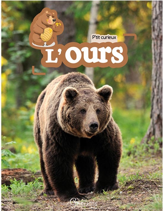 L'ours
