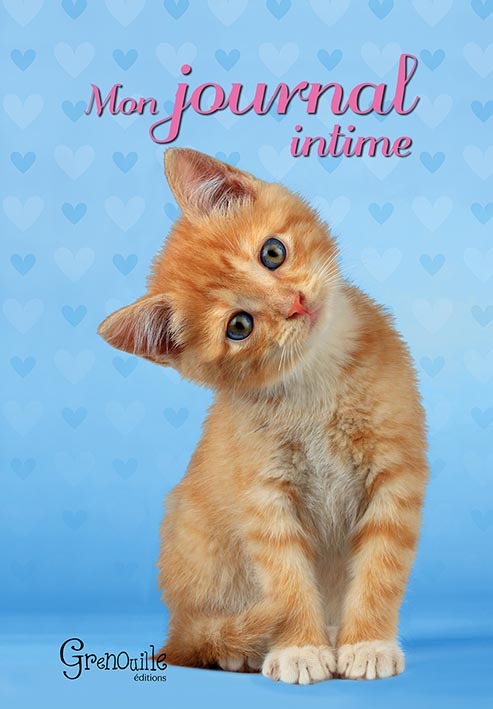 **MON JOURNAL INTIME CHAT