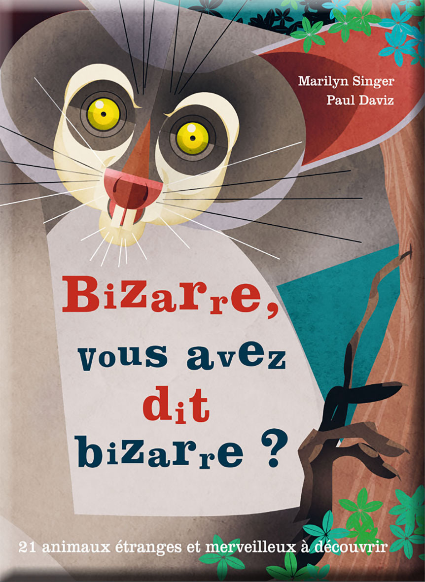 Bizarre, vous avez dit bizarre ?