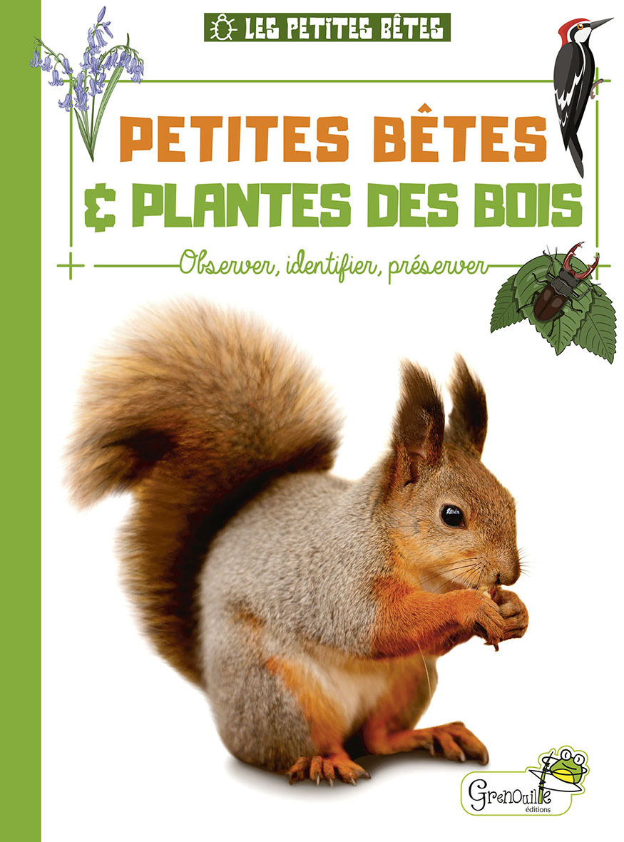 Petites bêtes et plantes des bois