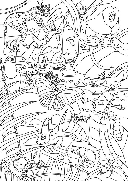 1-DANS LA JUNGLE MAXI COULEURS 108CM X 76CM