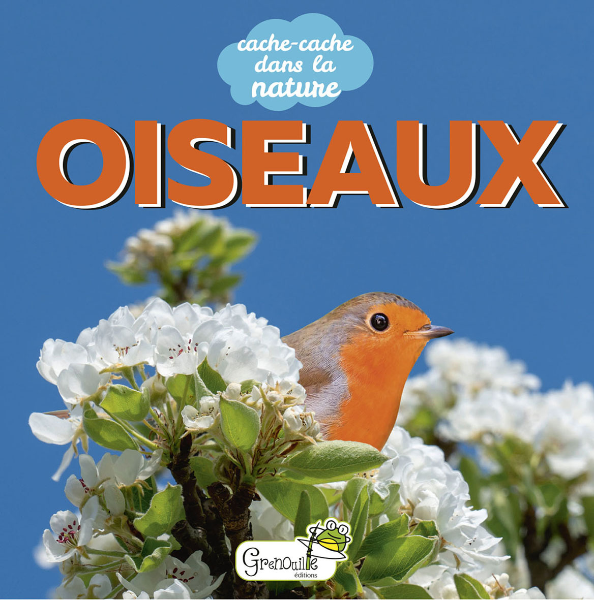 Oiseaux