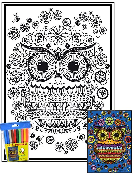 1-CHOUETTE - 1 2 3 COULEURS