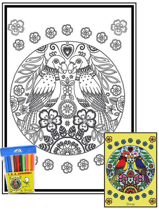 1-PERROQUETS - 1 2 3 COULEURS