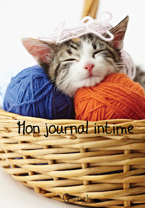 **MON JOURNAL INTIME CHAT