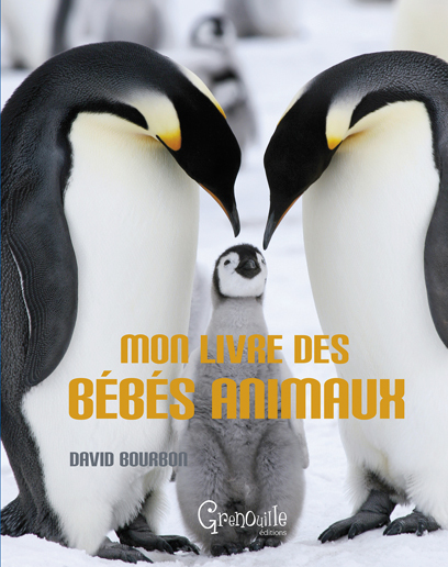 Mon livre des bébés animaux
