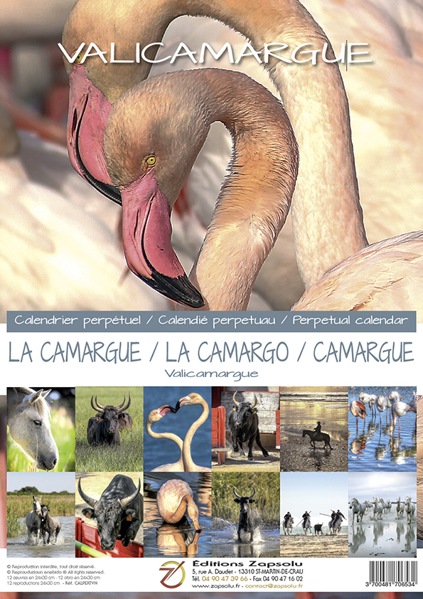 Calendrier perpétuel CAMARGUE format 42,5x29,7 cm