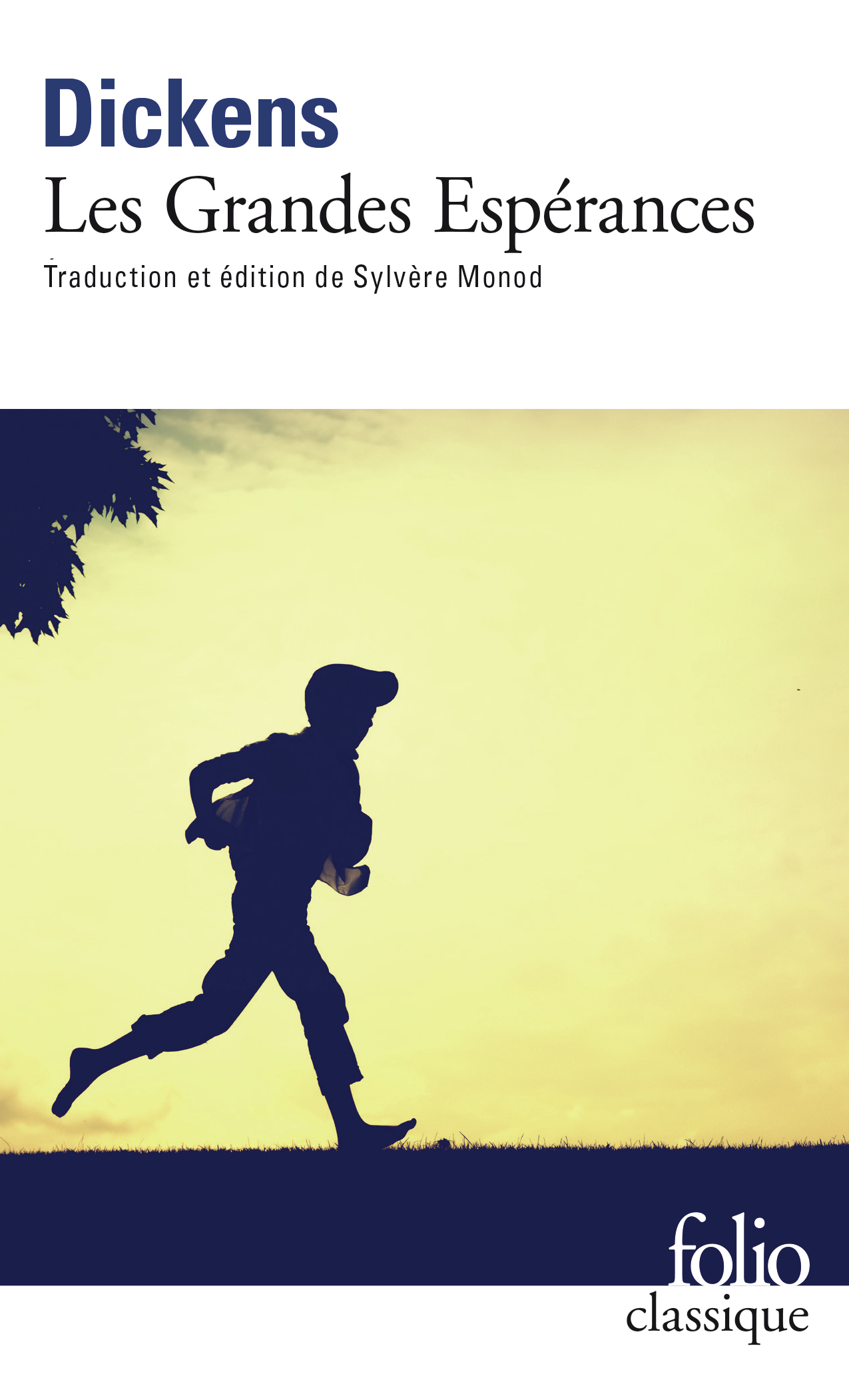 Les Grandes Espérances