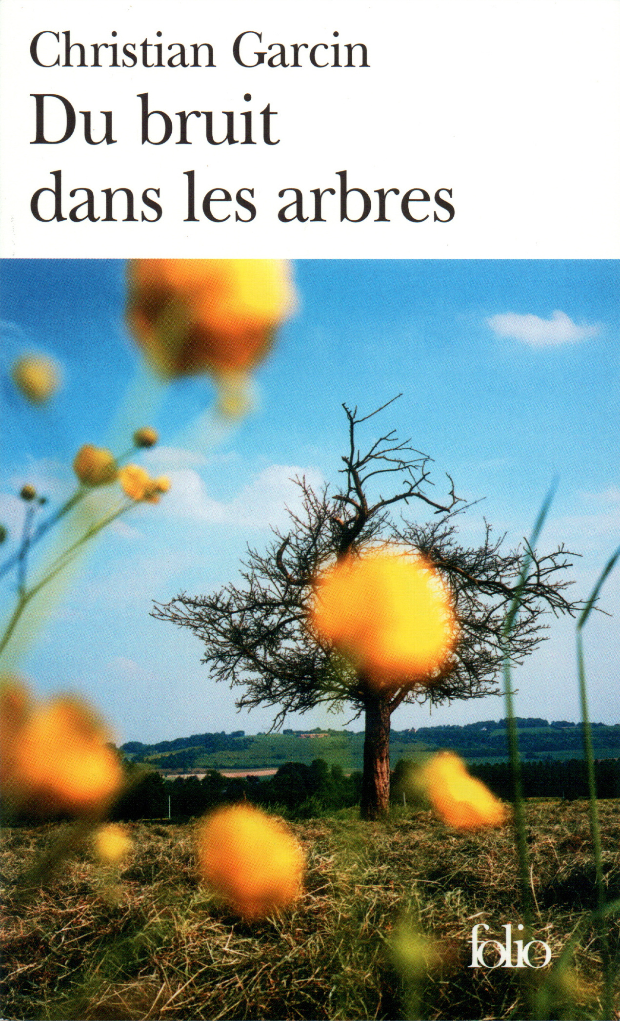 Du Bruit dans les arbres