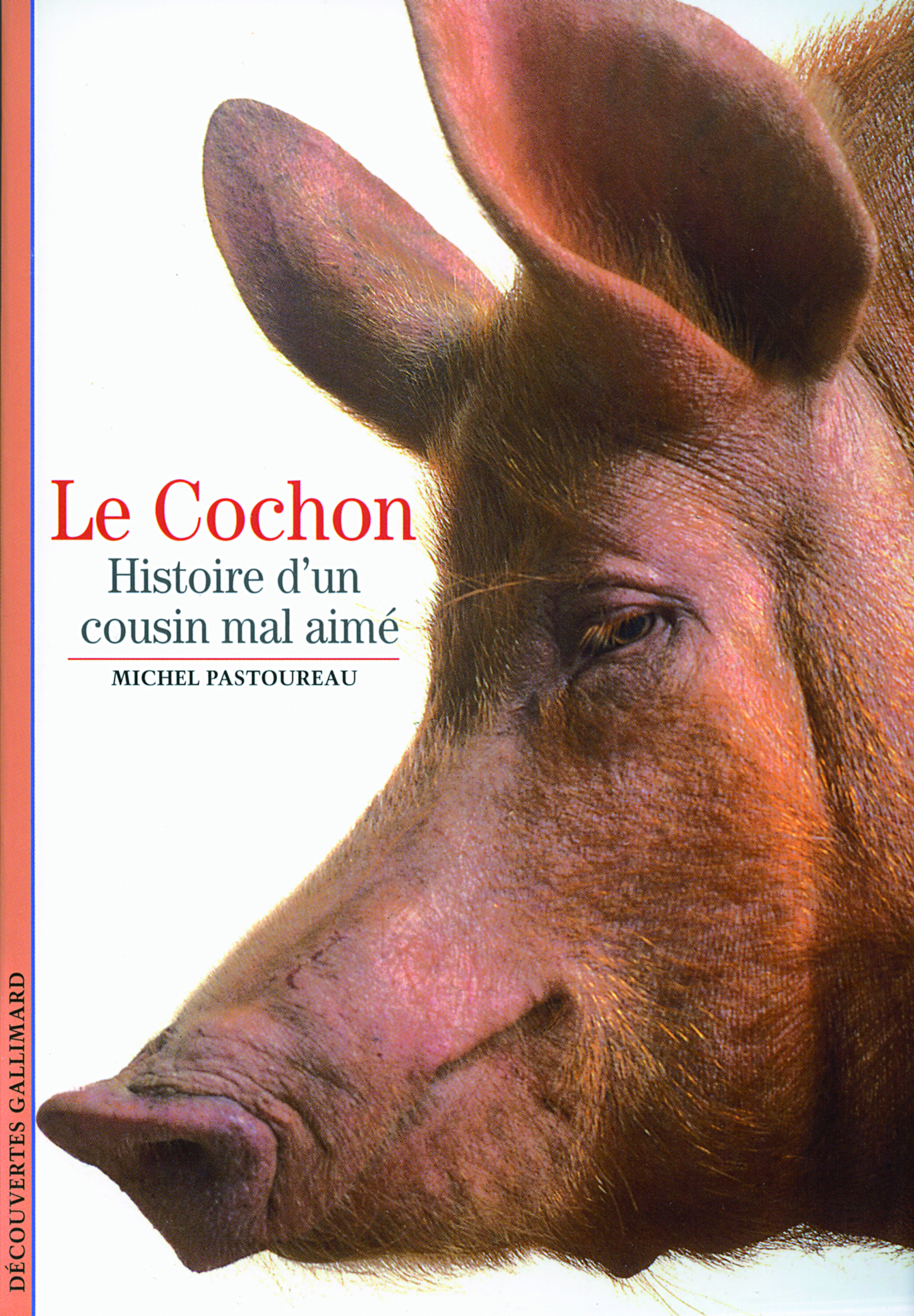 Le cochon