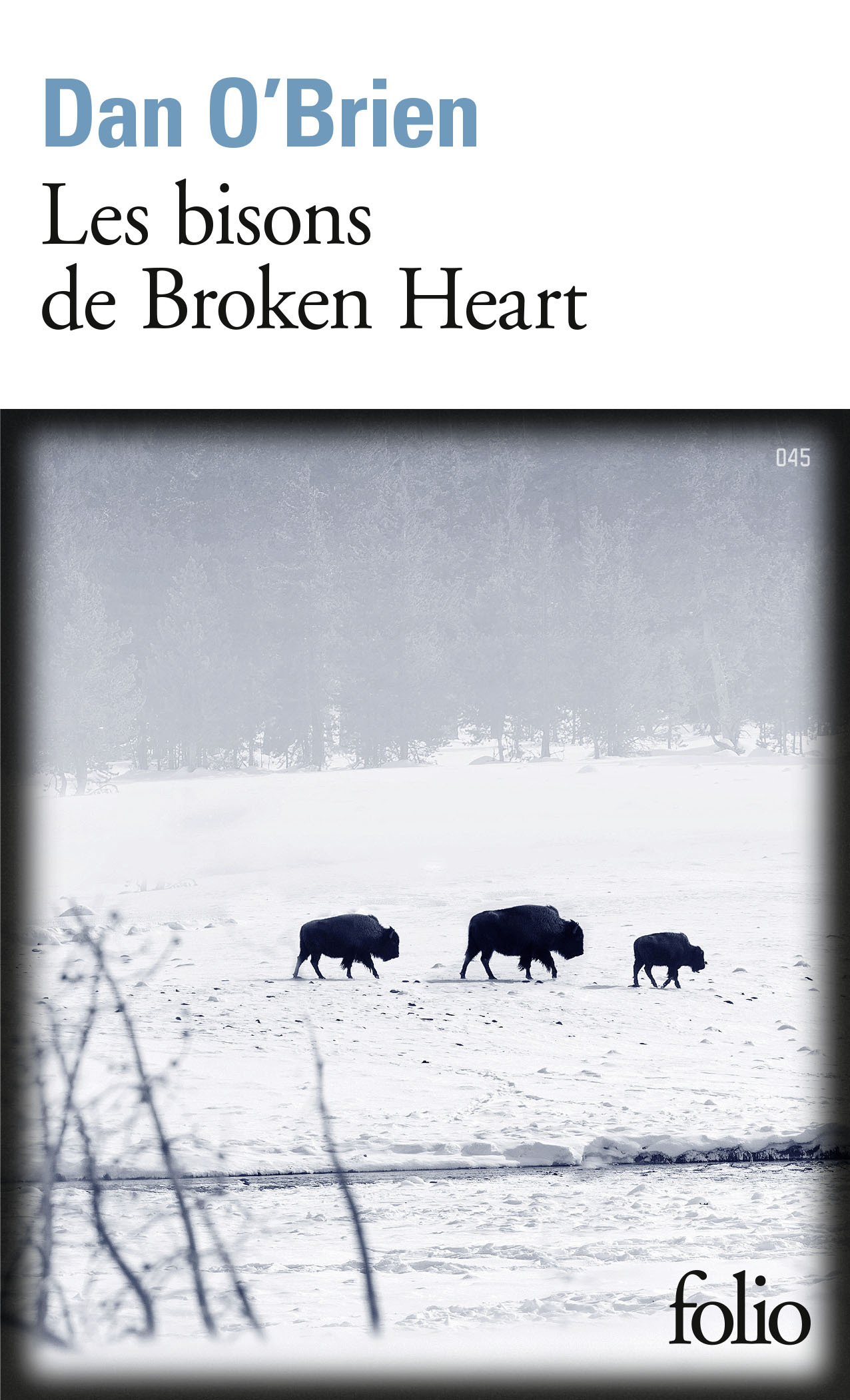 Les bisons de Broken Heart