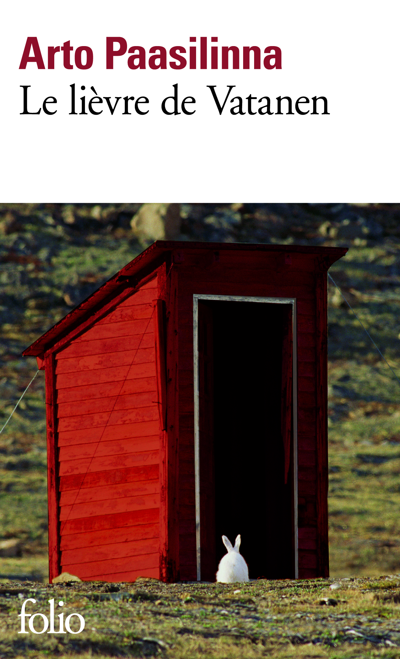 LE LIEVRE DE VATANEN