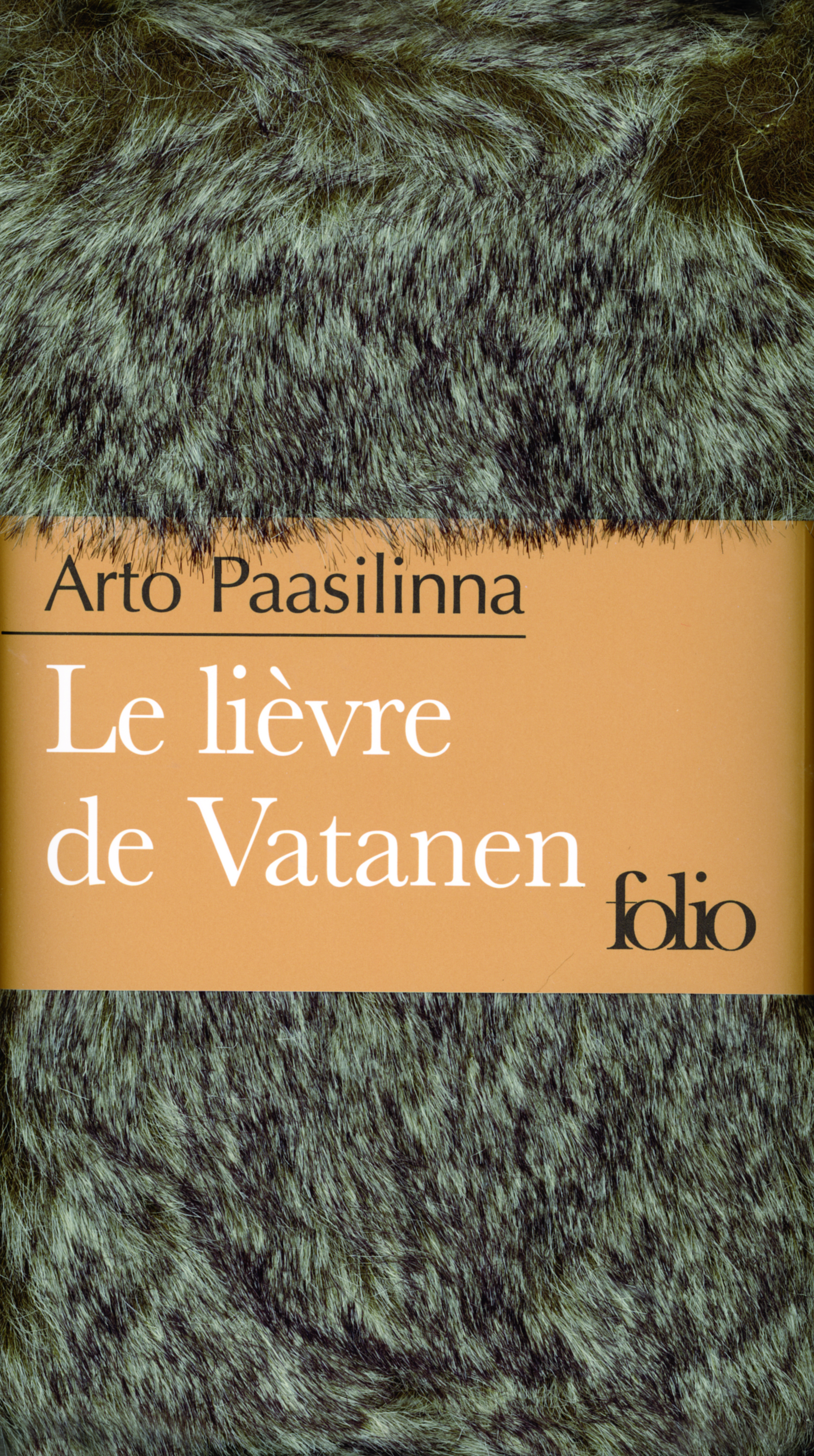 Le lièvre de Vatanen