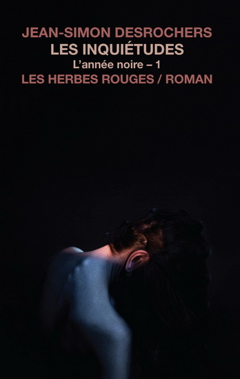 L'ANNEE NOIRE V 01 LES INQUIETUDES