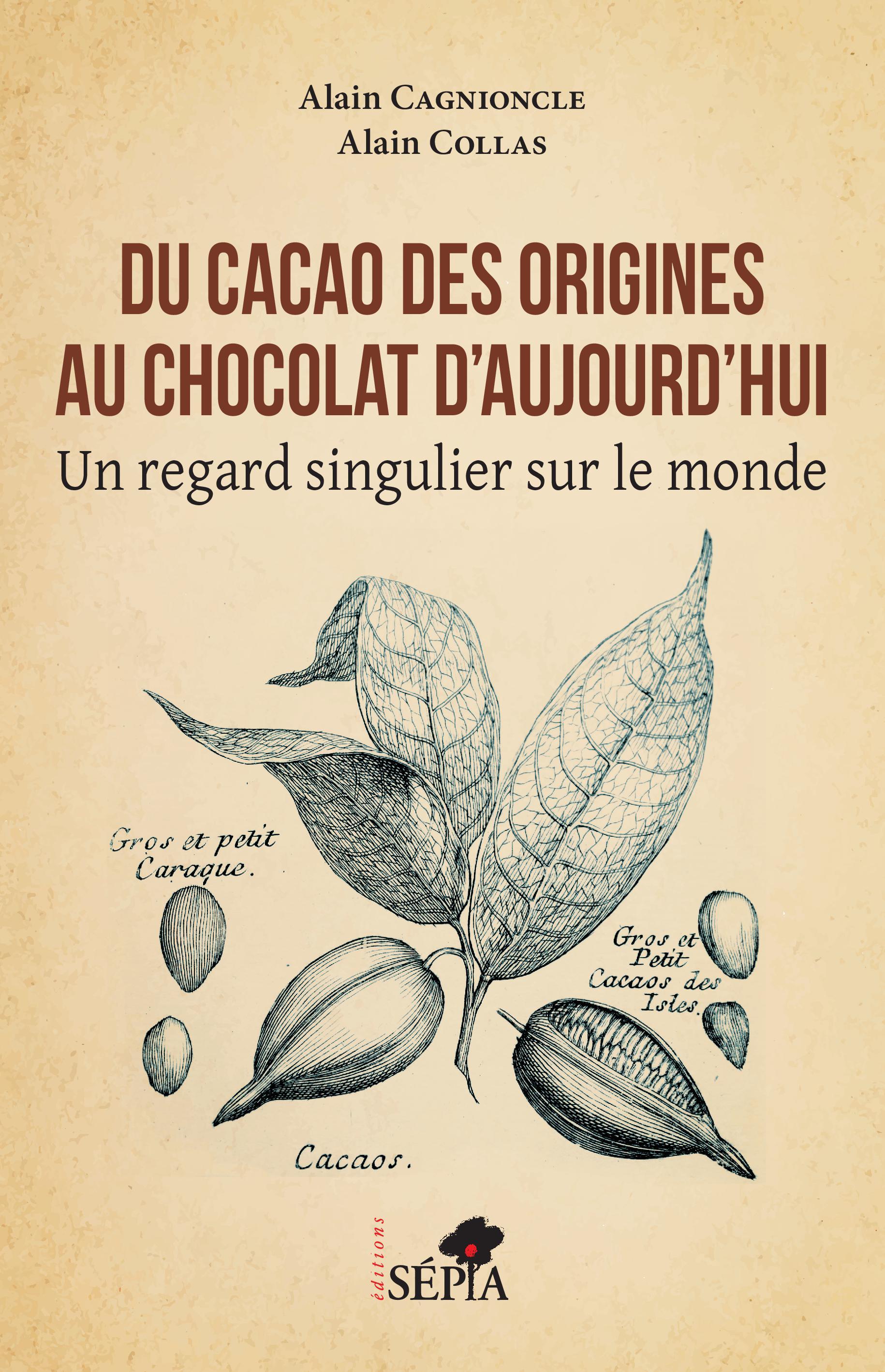 Du cacao des origines au chocolat d'aujourd'hui