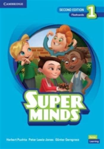 Super minds level 1 flashcards british english