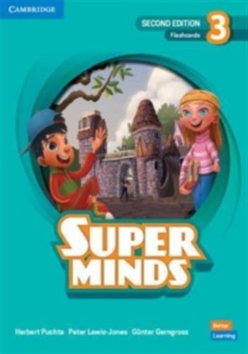 Super minds level 3 flashcards british english