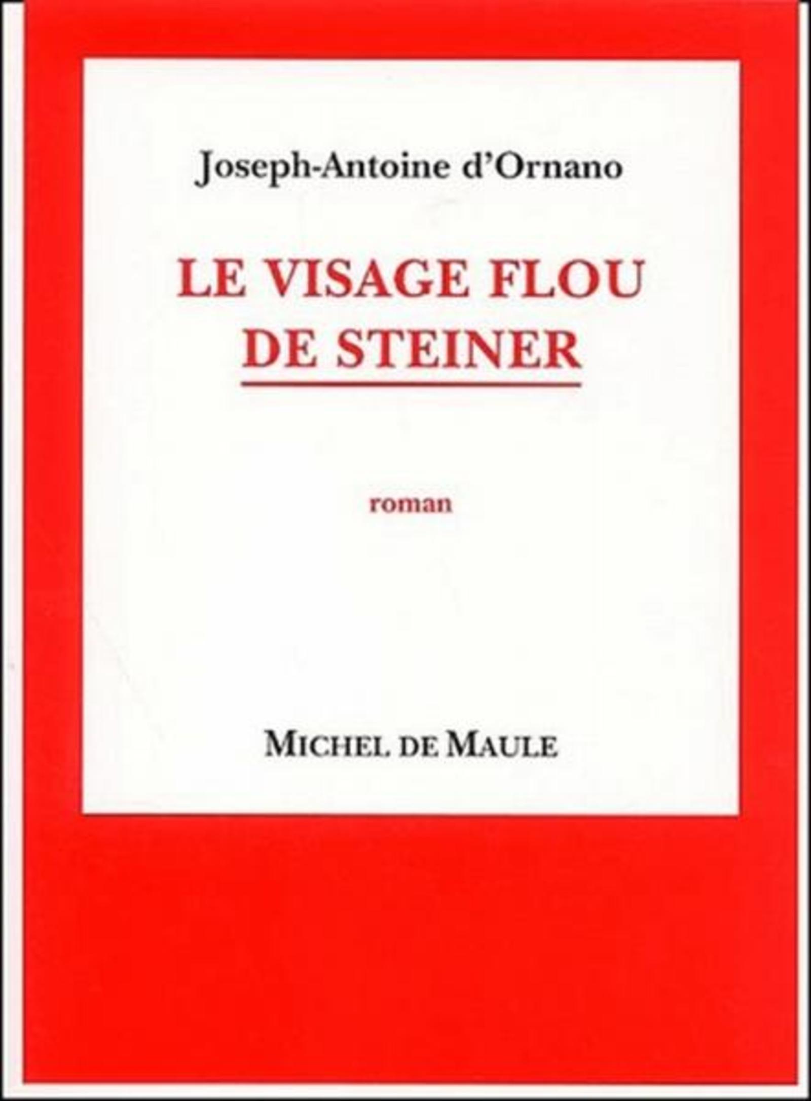 VISAGE FLOU DE STEINER (LE)