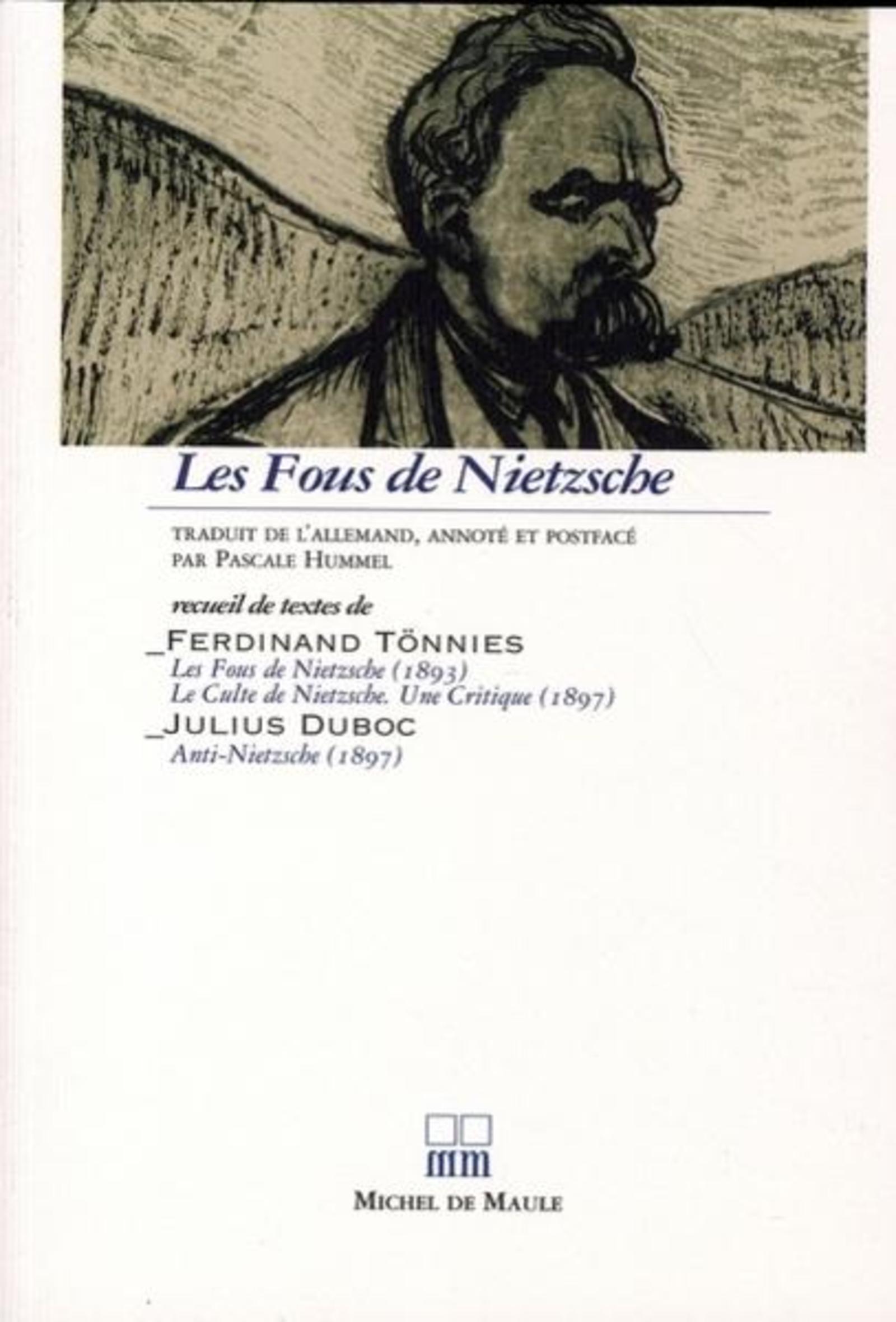 FOUS DE NIETZSCHE (LES)