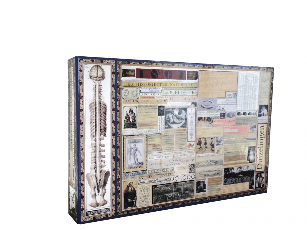 Les nébuleuses - mon tout : les étourdissements