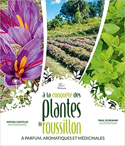 À la conquête des plantes à parfum, aromatiques et médicinales du Roussillon - PPAM
