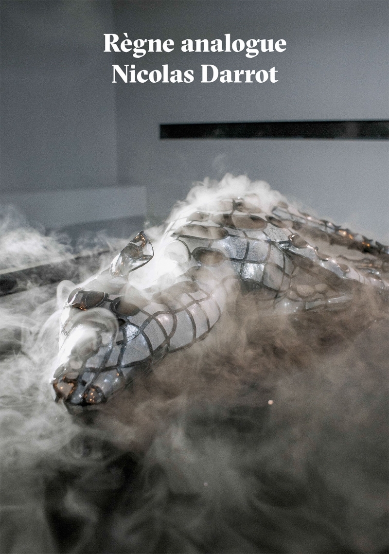 Nicolas Darrot règne analogue