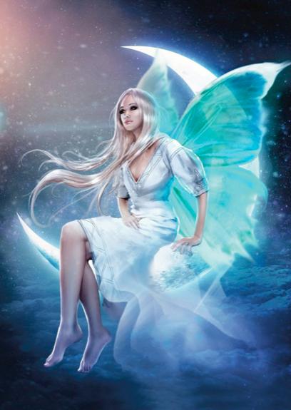 Journal "Fée blanche"