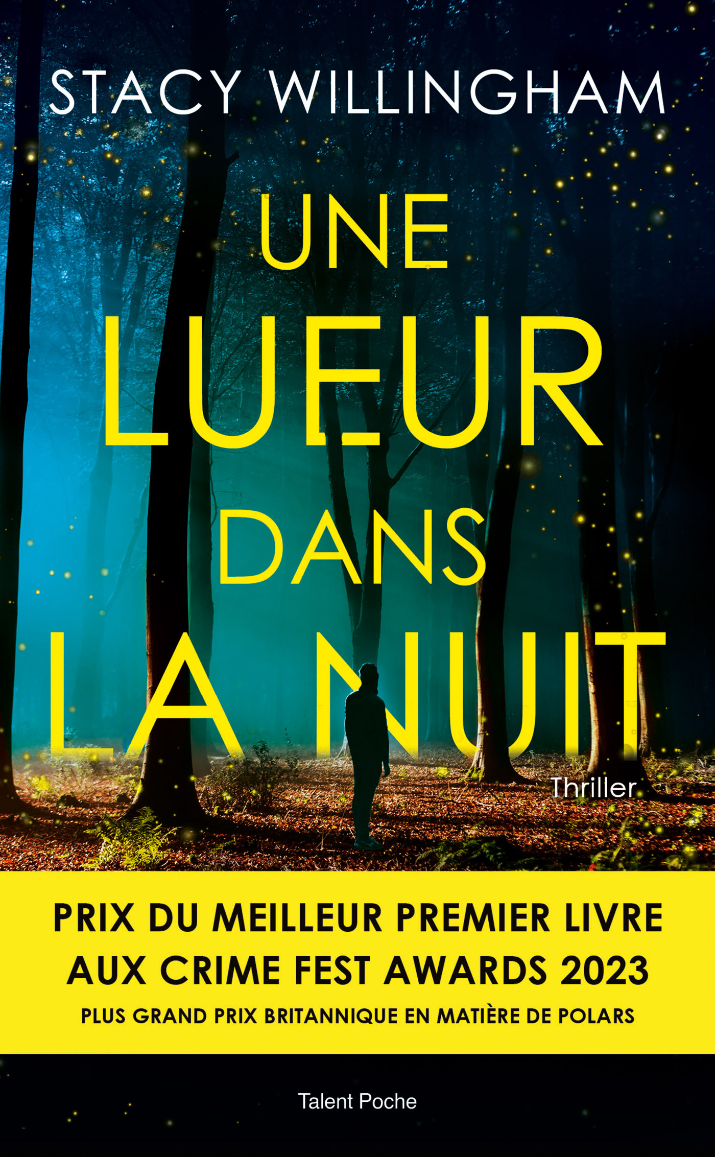 Une lueur dans la nuit - Thriller psychologique - Meilleur premier livre Crime Fest Awards 2023