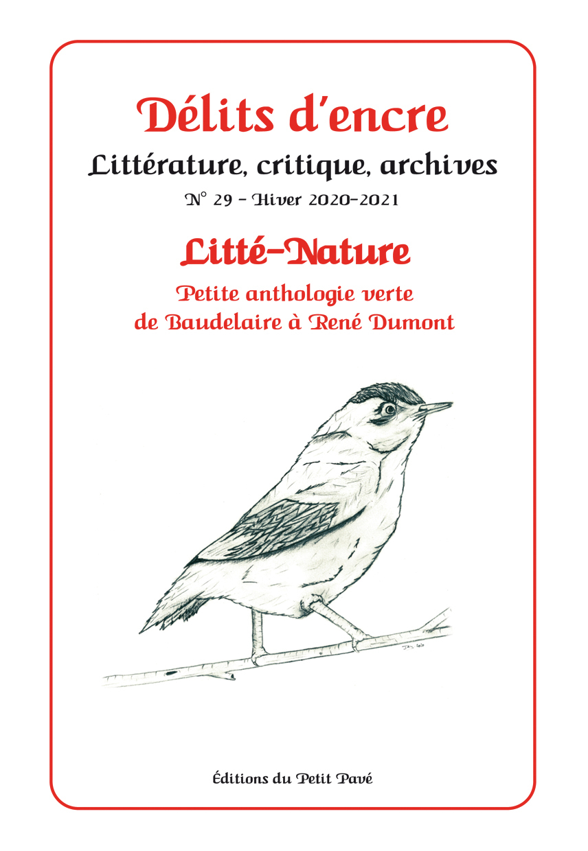 Délits d'encre n°29