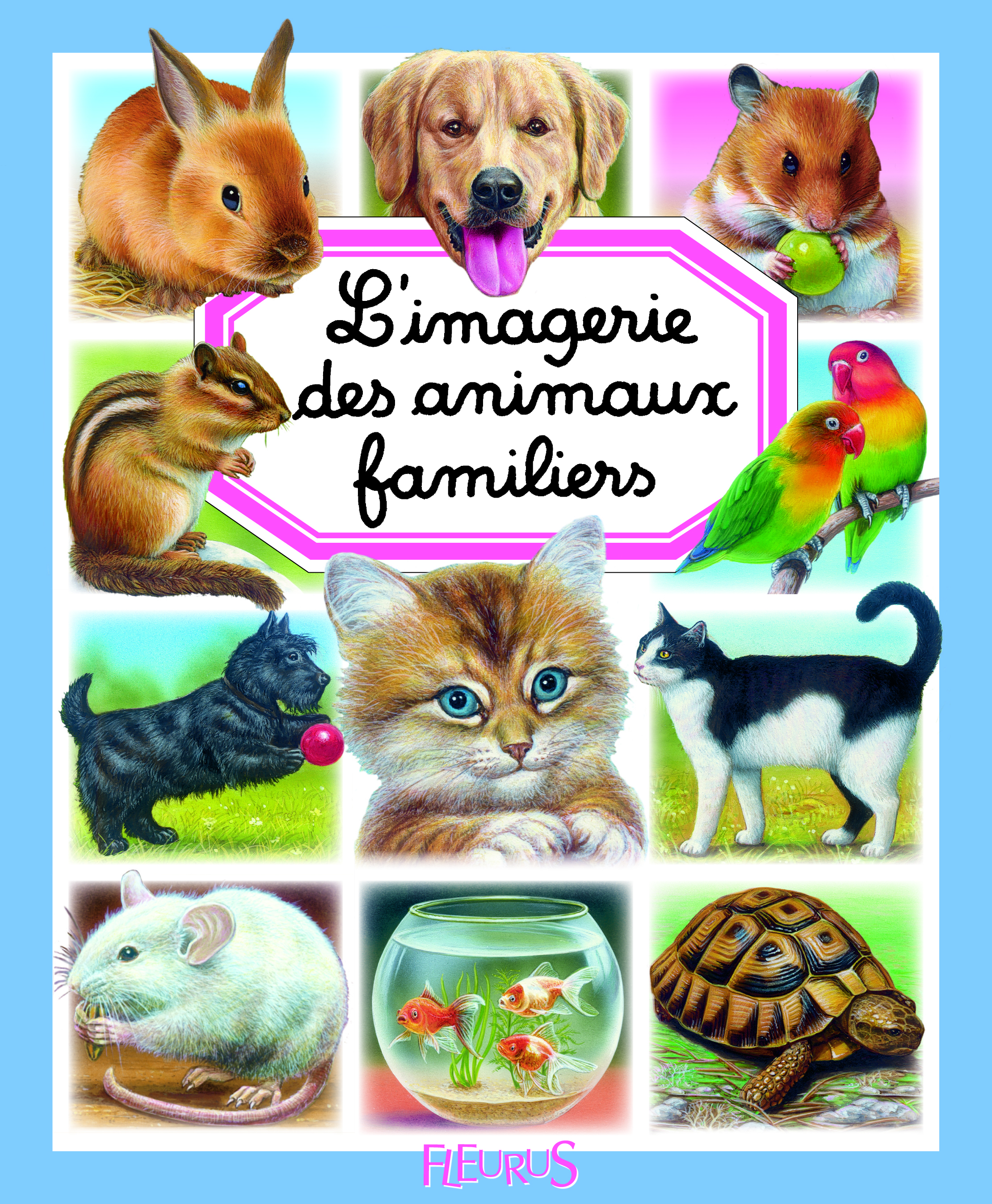 L'imagerie des animaux familiers