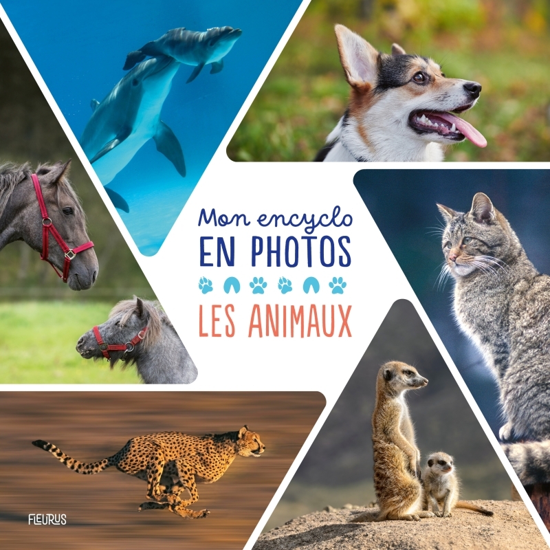 Mon encyclo en photos - Animaux
