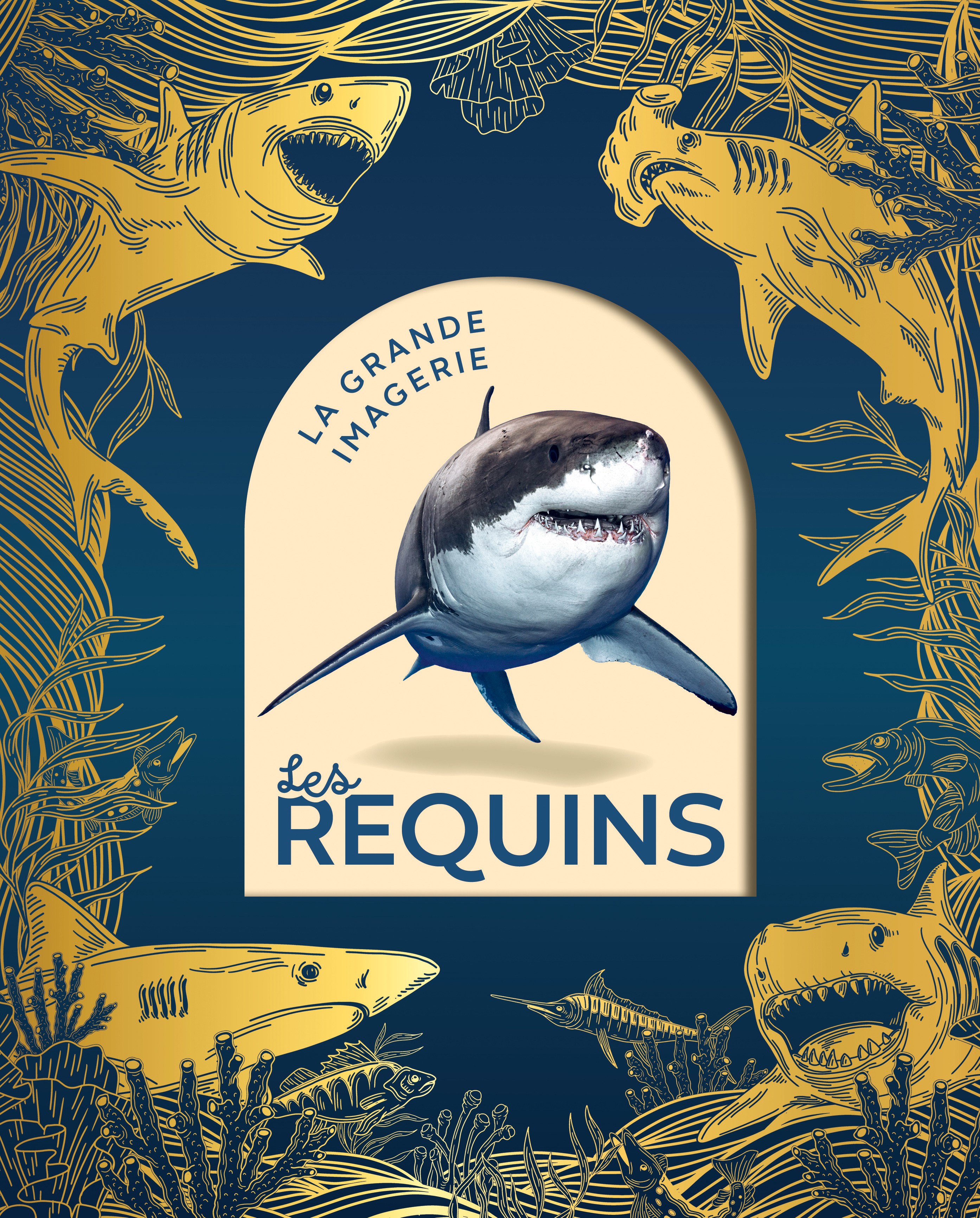 Les requins