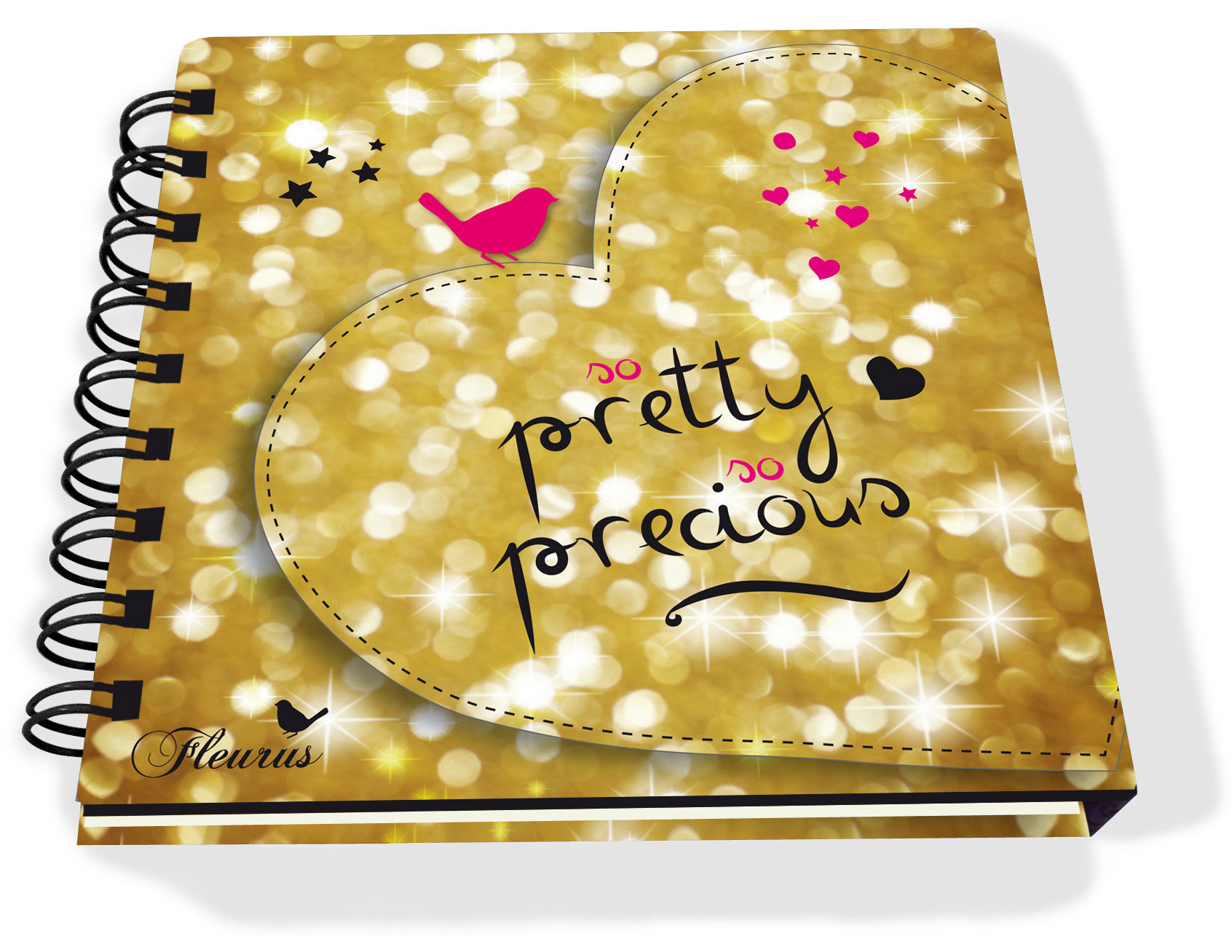 SO PRETTY, SO PRECIOUS. LE NOTEBOOK DU DICO DES FILLES