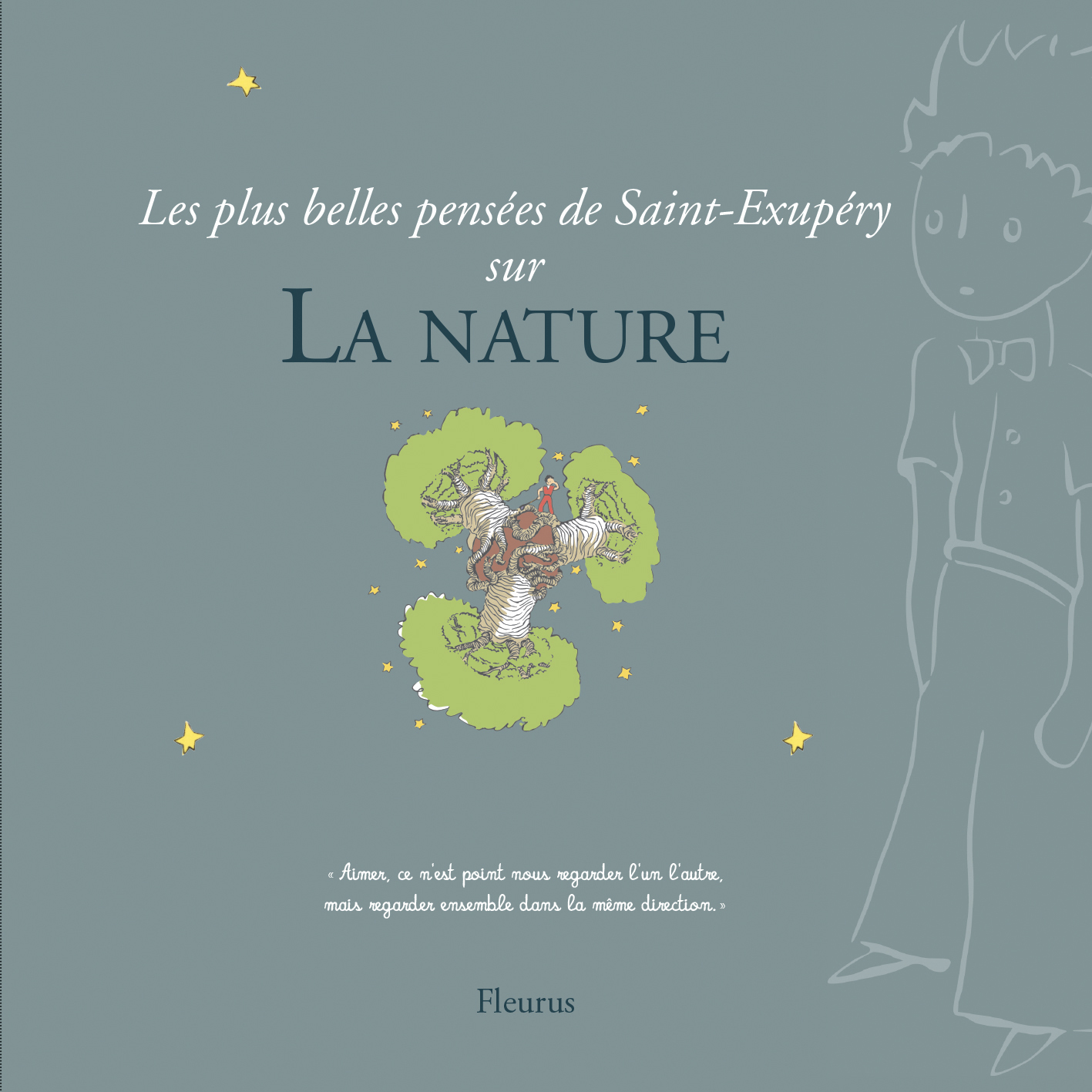 LES PLUS BELLES PENSEES DE SAINT-EXUPERY SUR LA NATURE