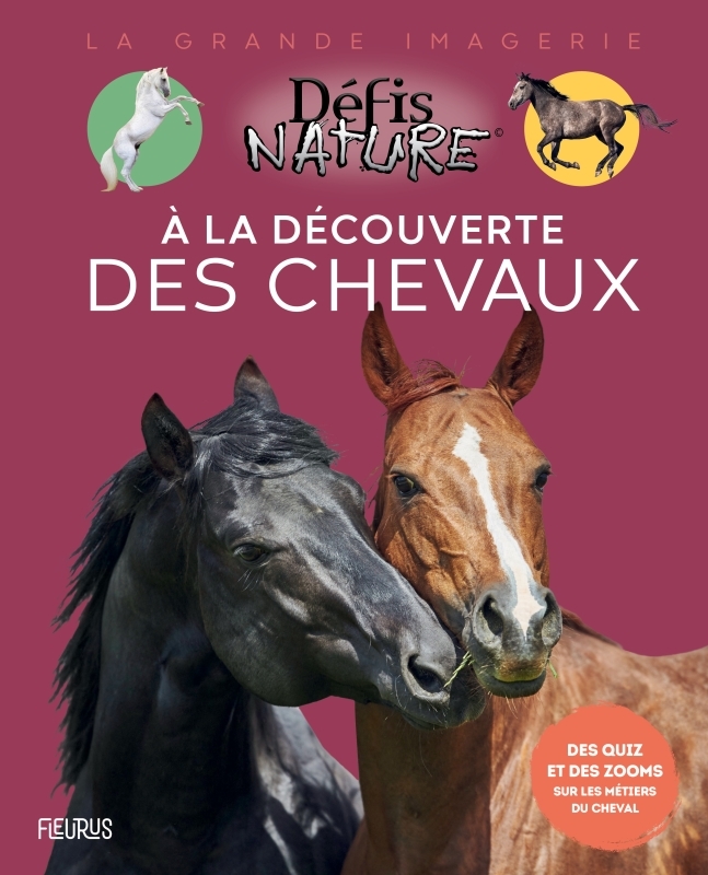 À la découverte des chevaux