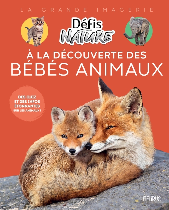 À la découverte des bébés animaux