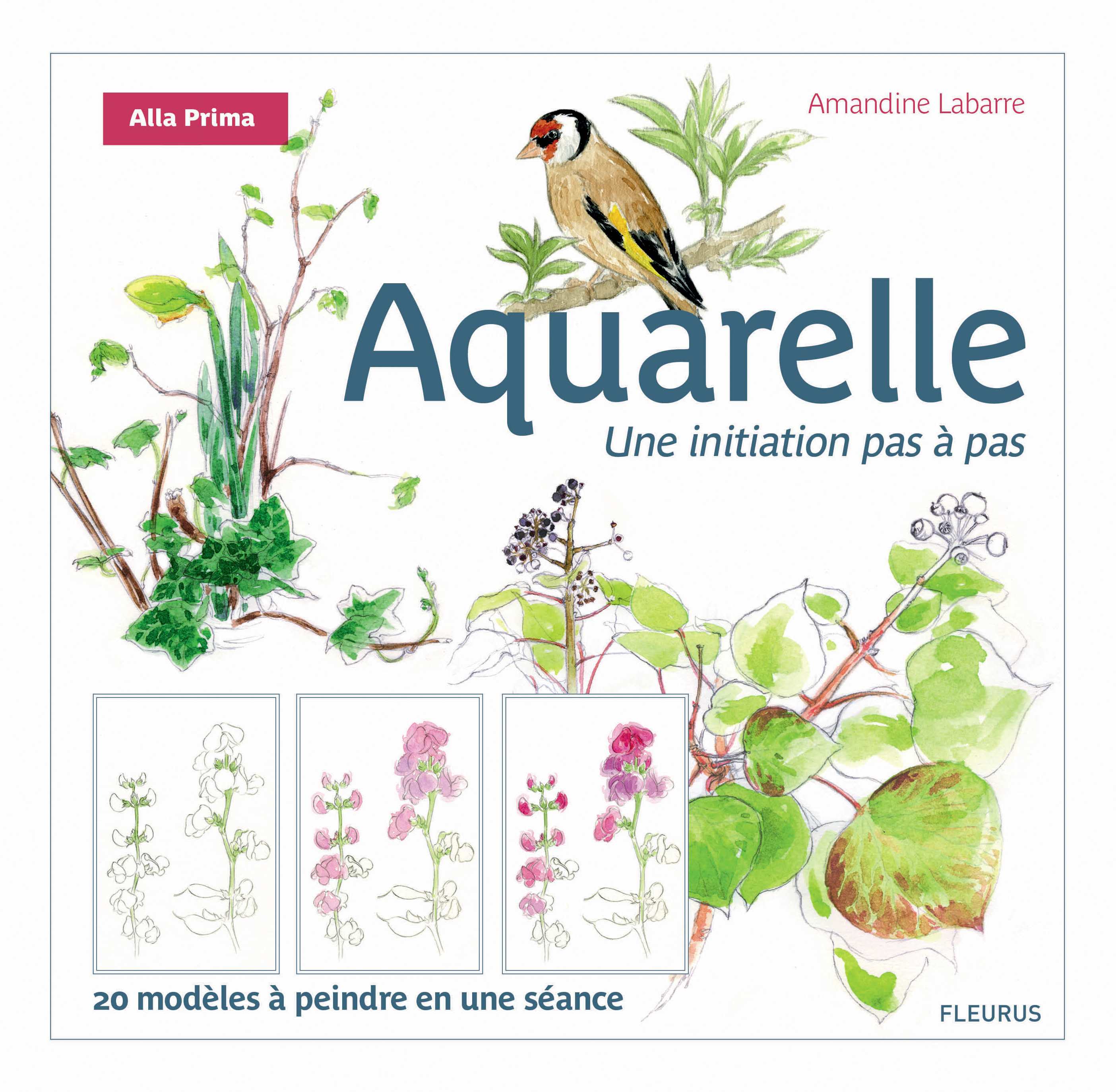 Aquarelle, une initiation pas à pas