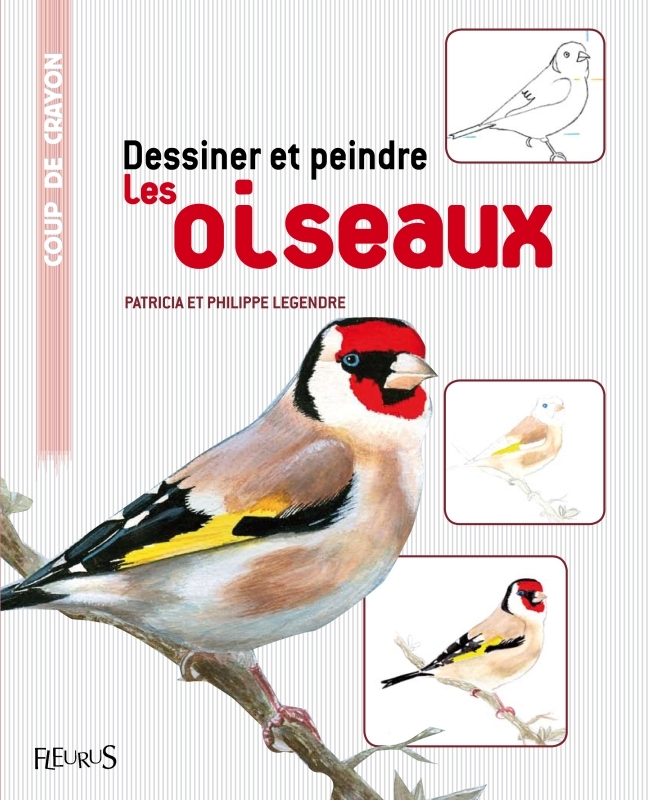 Dessiner et peindre les oiseaux