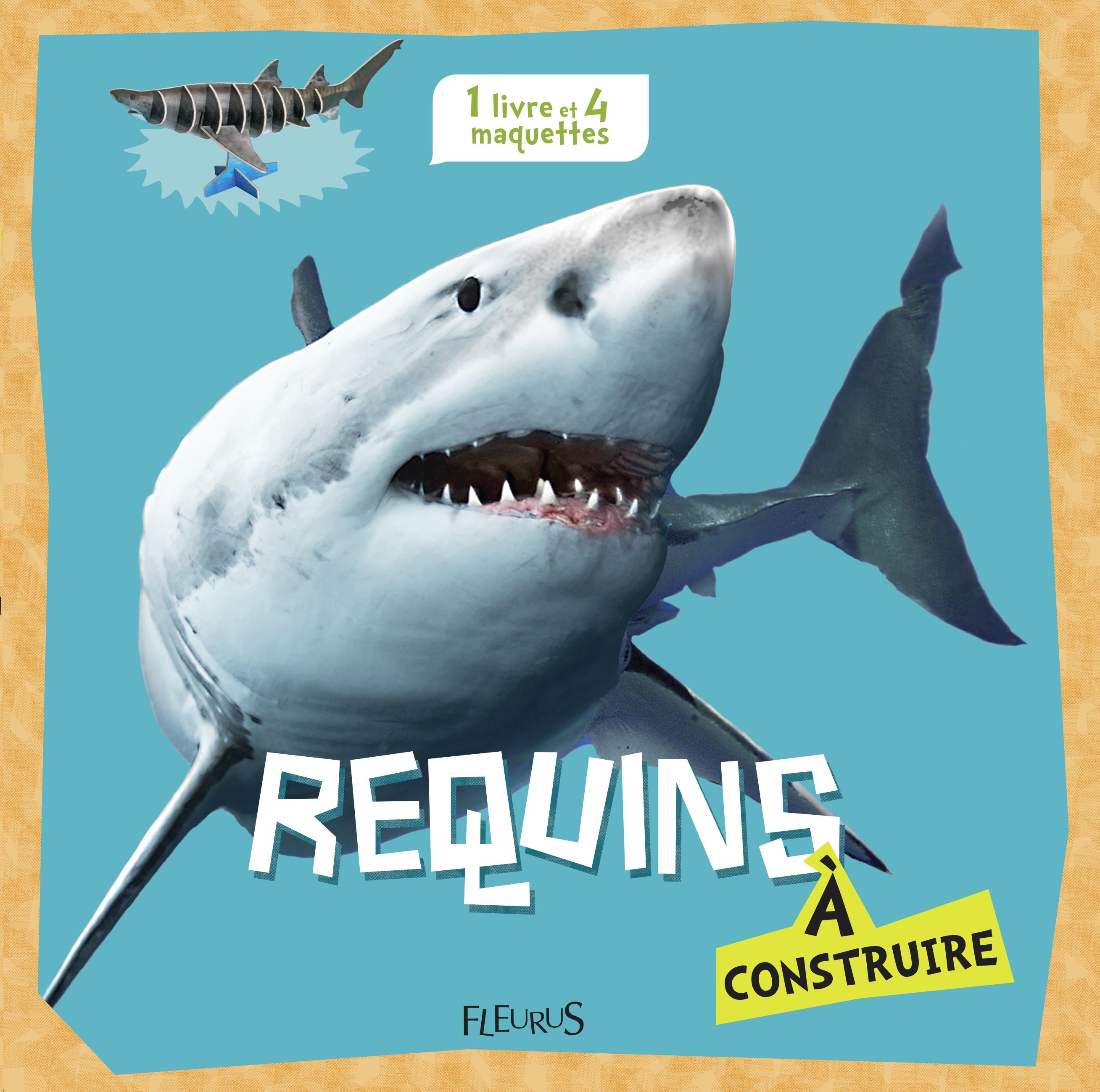 Requins à construire
