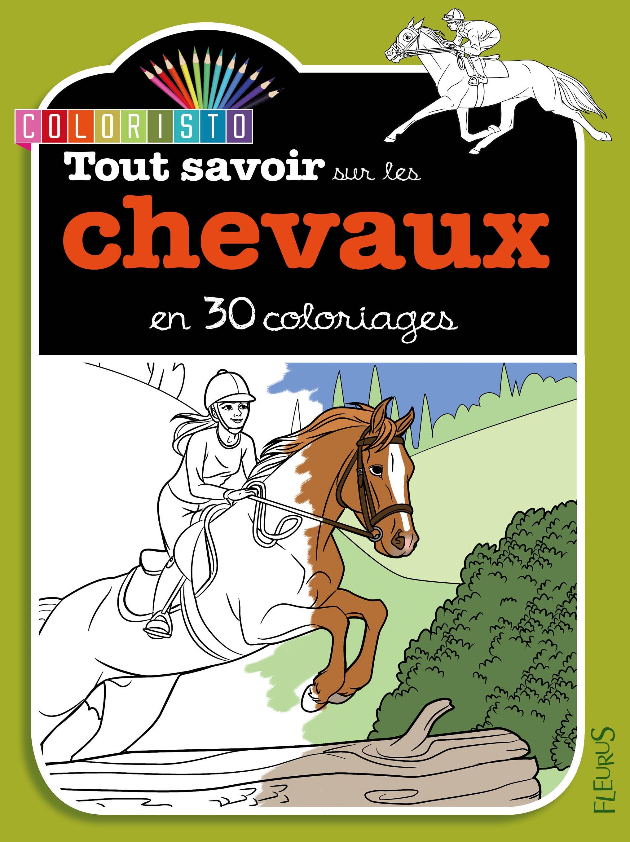 COLORIE LES CHEVAUX