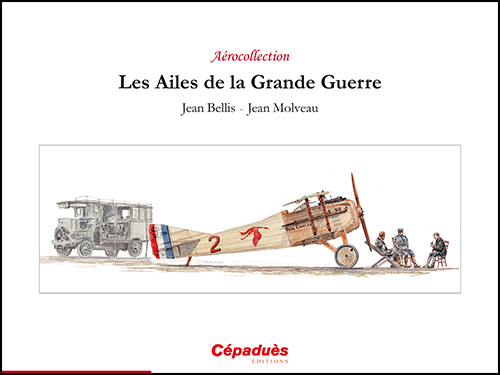 LES AILES DE LA GRANDE GUERRE