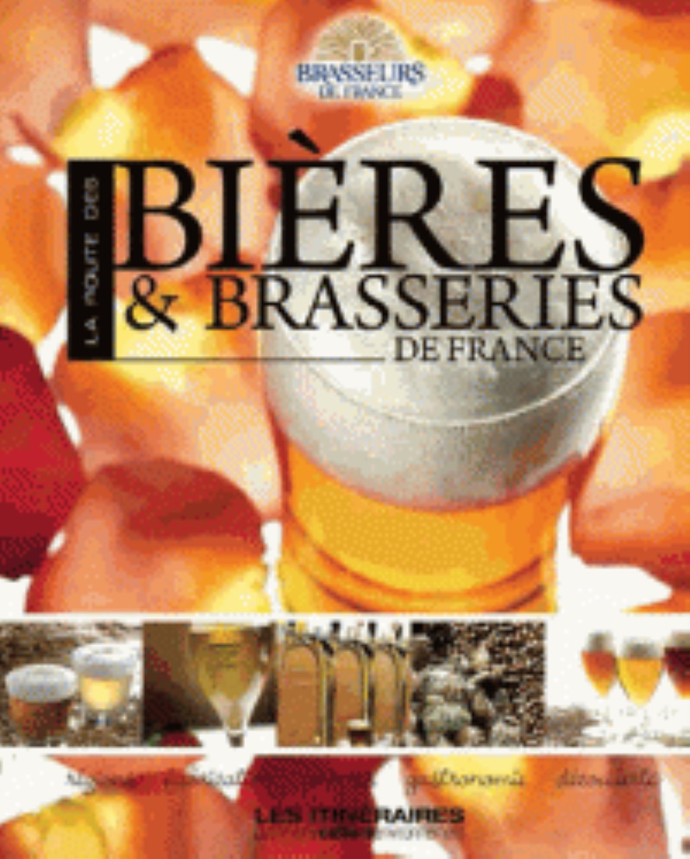 ROUTE DES BIERES ET BRASSERIES DE FRANCE