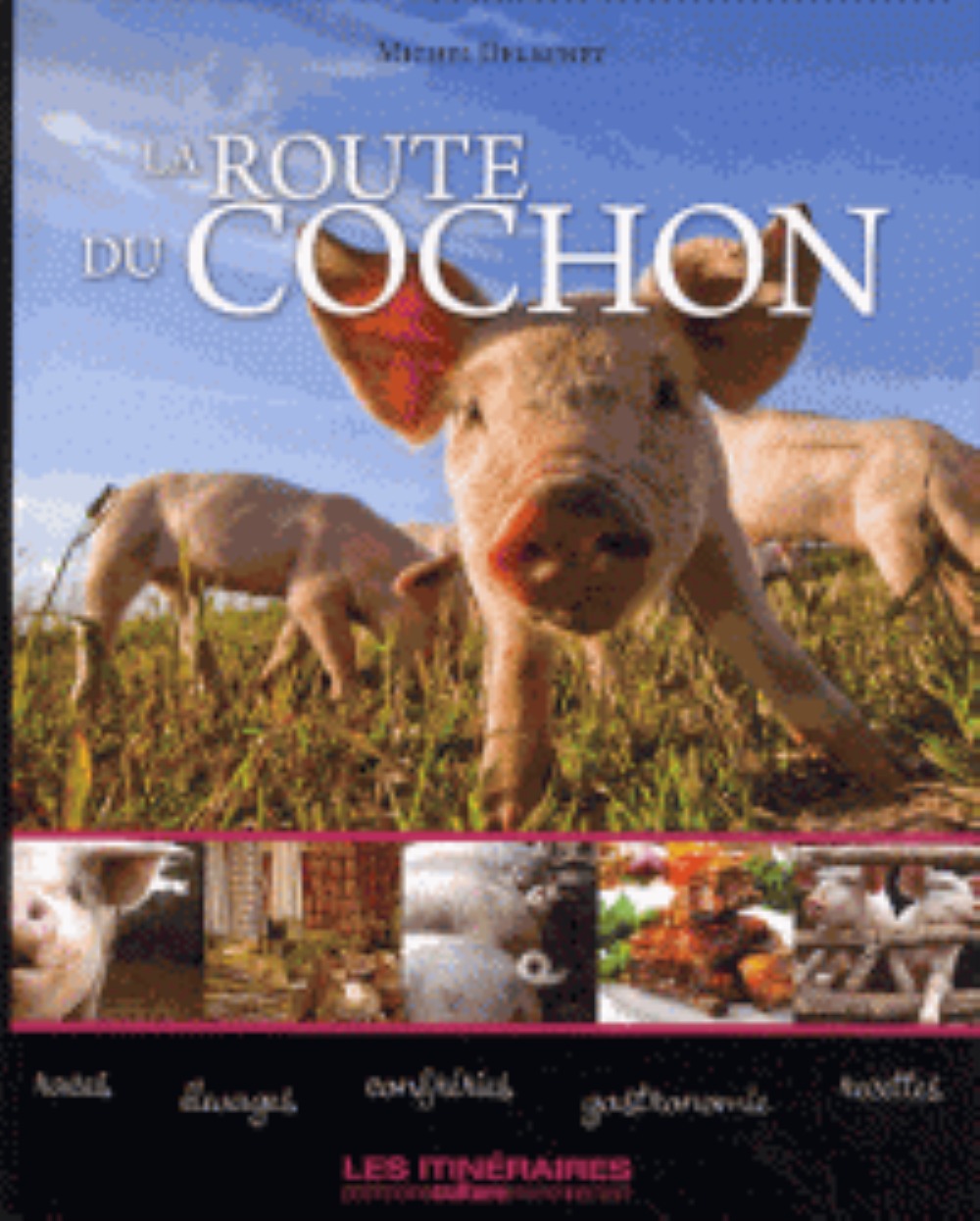 LA ROUTE DU COCHON