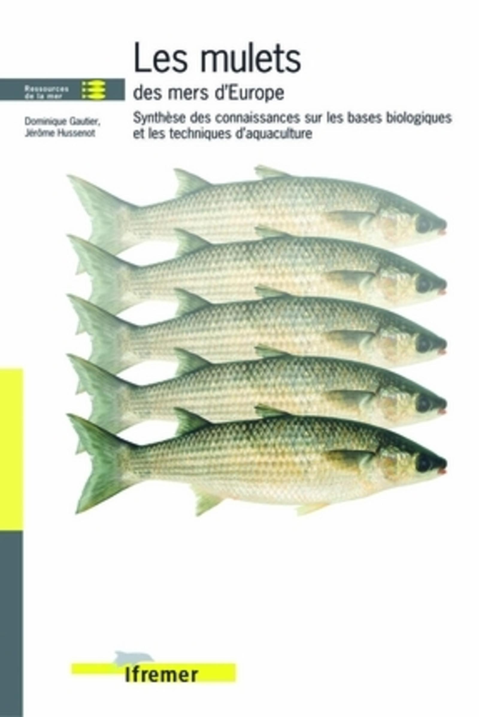 Les mulets des mers d'europe