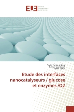 Etude des interfaces nanocatalyseurs / glucose et enzymes /O2